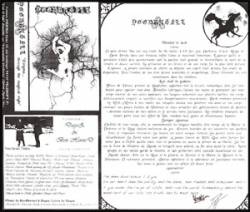 Engima... Through the Magical Night